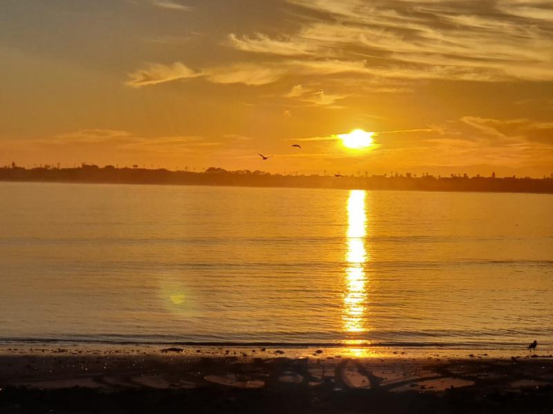 0 Bedroom Property for Sale in Sandy Point Western Cape